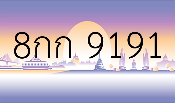 8กก 9191